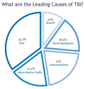 Pie Chart for Traumatic Brain Injury Causes