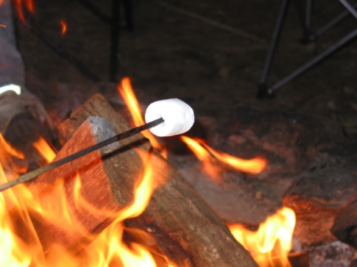 Children Roasting Marshmallows