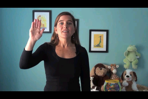 Sign Language Fun Learning Screenshot