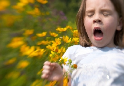 Child Sneezing from Allergies