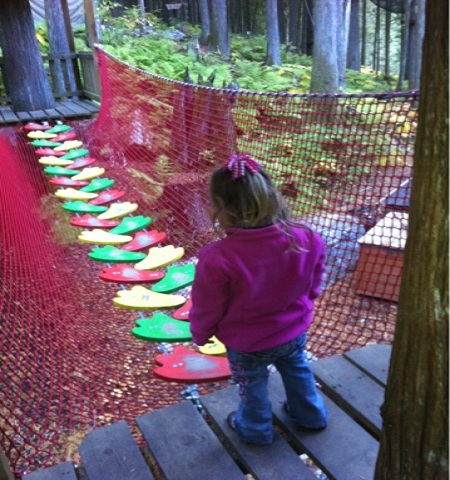K Navigates an Obstacle Course