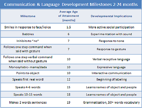 Language Development for Preschool Education