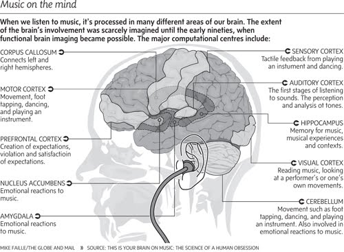 Music being processed in the brain