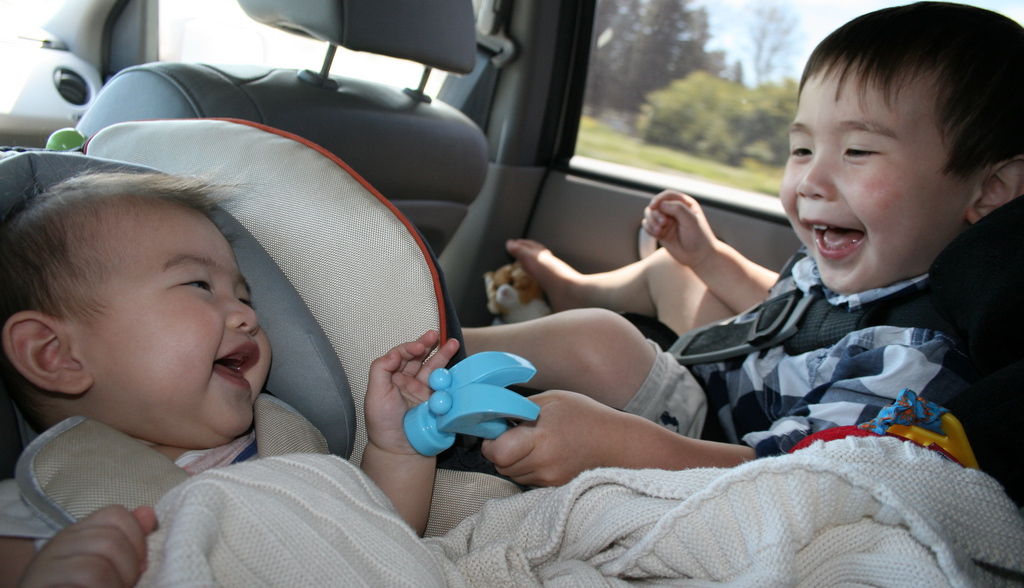 brothers play together in the car
