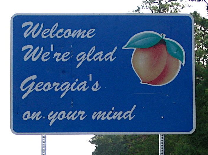 Georgia_State_SIgn