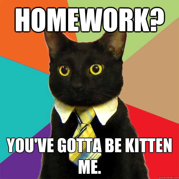 cat talking about homework
