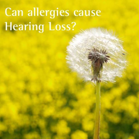 Can allergies cause hearing loss?