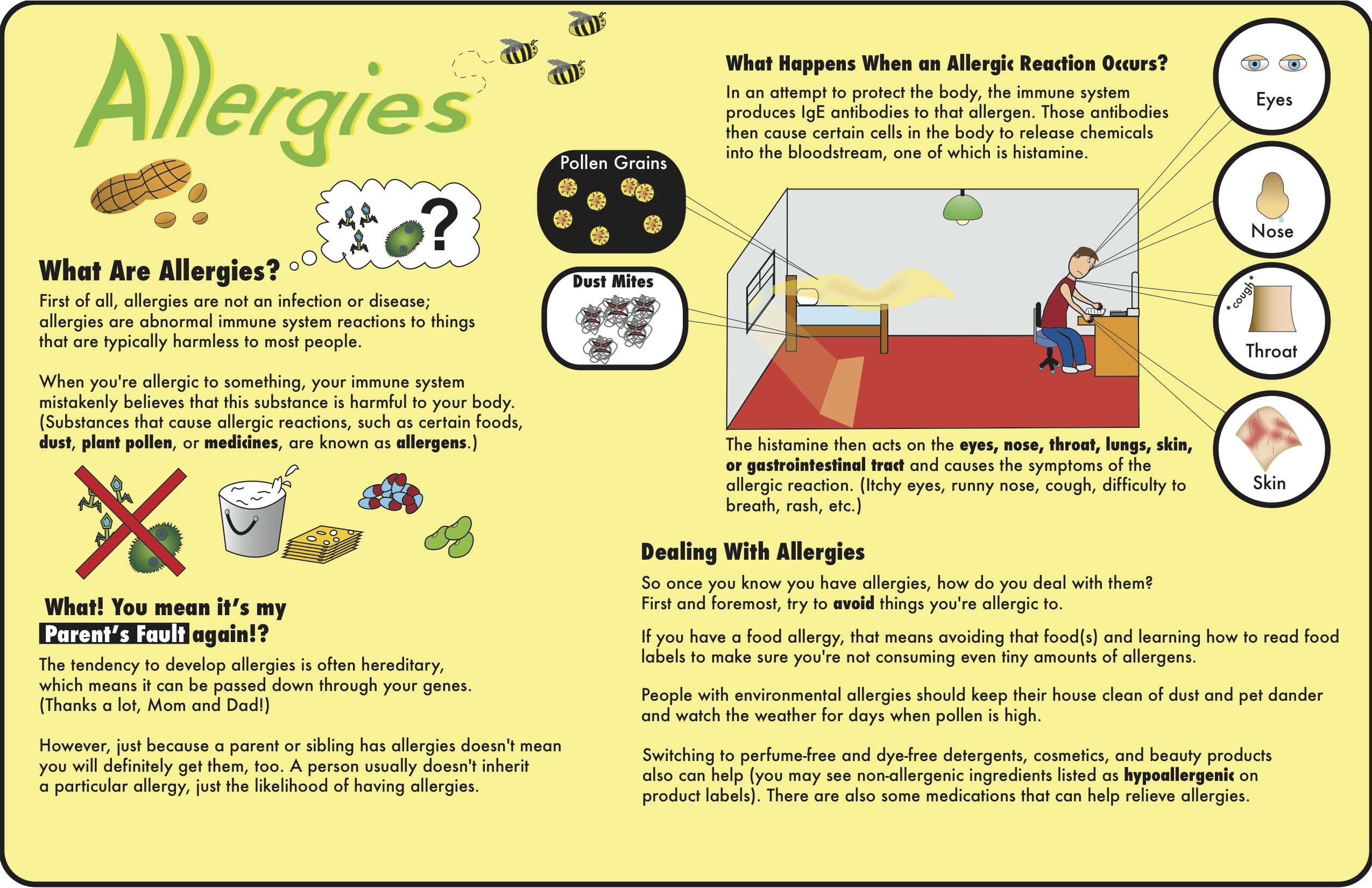 Causes of Allergies