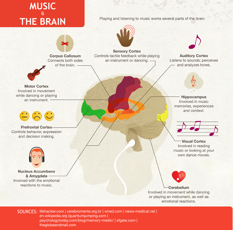 The brain reacts to music