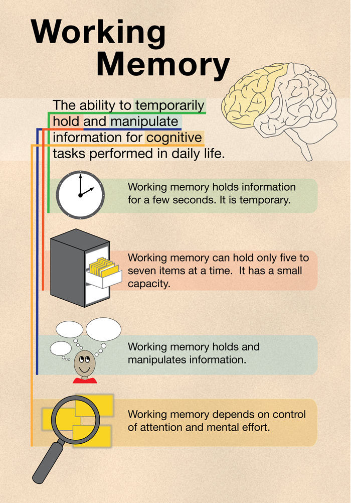 working memory components