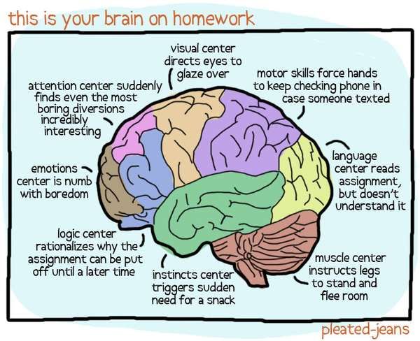 Your Brain On Homework Your Brain On Homework