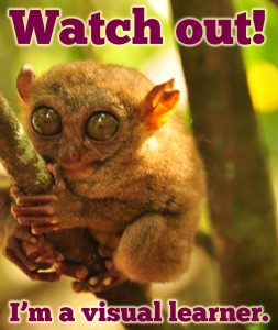 Visual Learner Tarsier