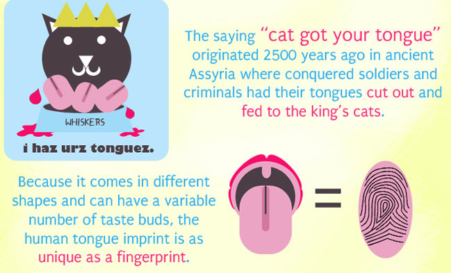 tongue facts